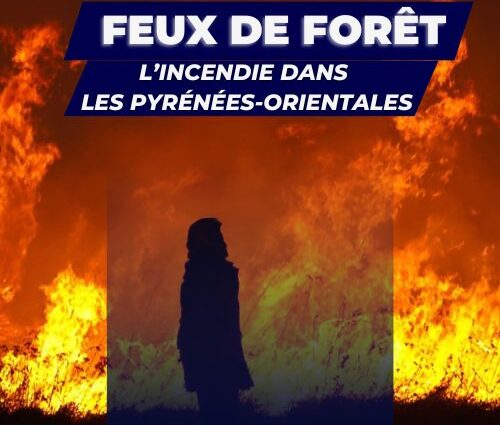 Incendie en forêt