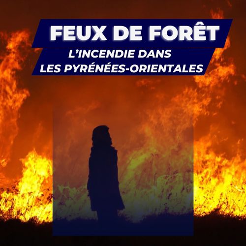 Incendie en forêt